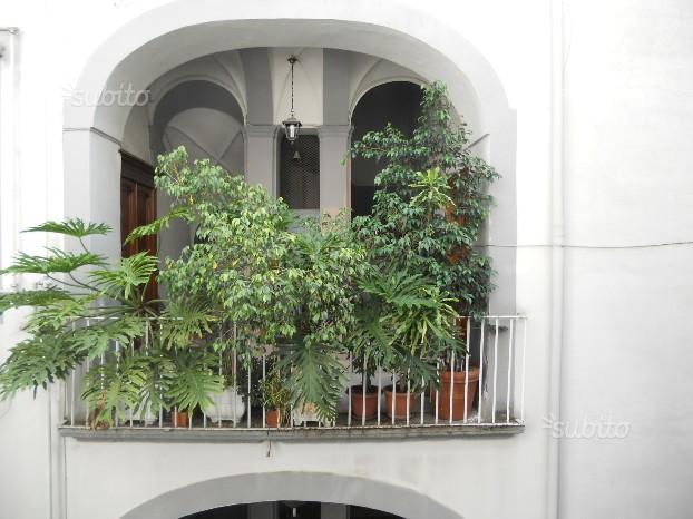 Napoli Affitto Appartamento bilocale