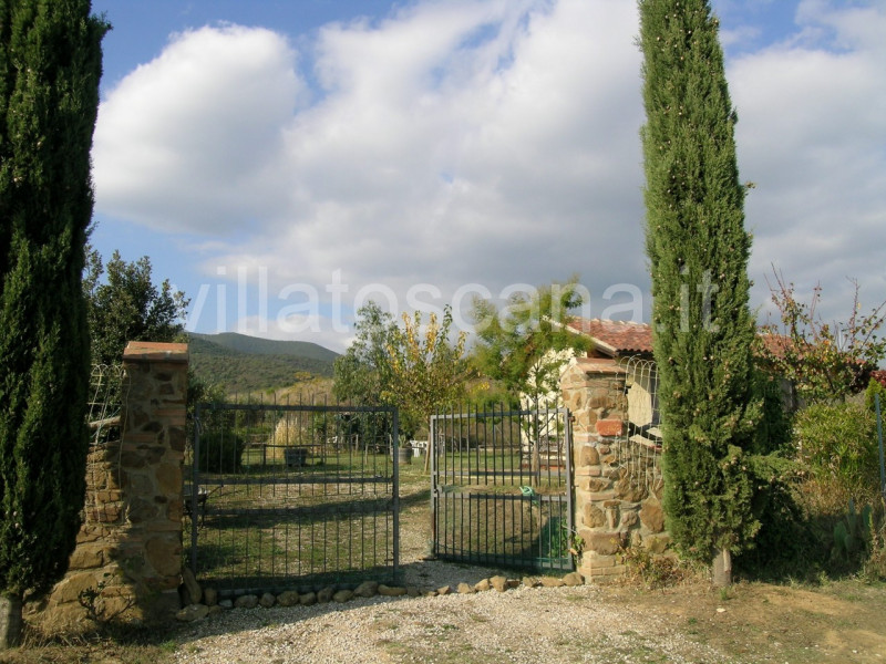 annunci