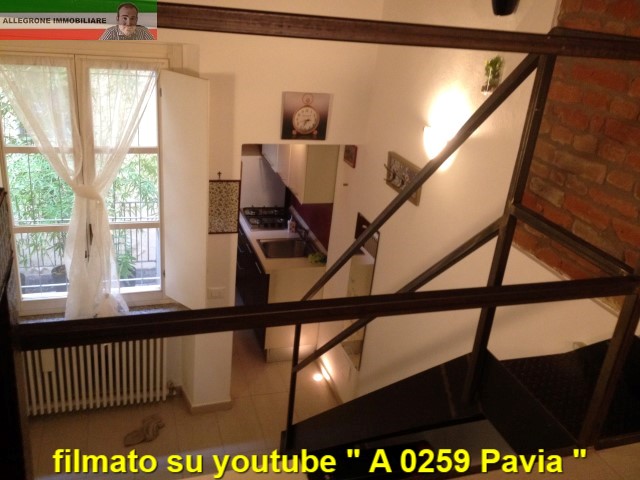 Pavia Affitto Appartamento monolocale