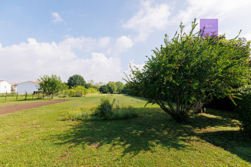 Tra Battaglia Terme e Pernumia proponiamo in vendita una casa di campagna dal carattere autentico...