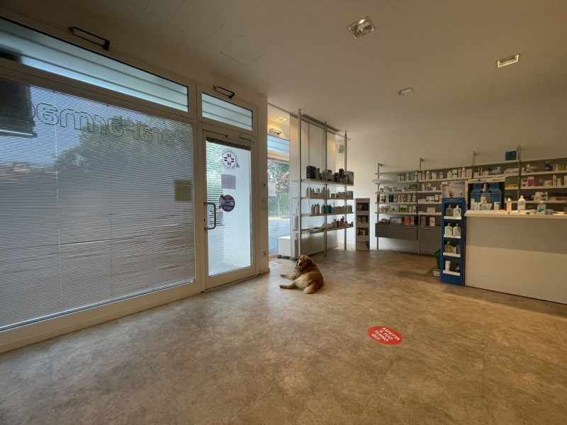 In centro a Battaglia Terme, su via Roma, proponiamo in locazione negozio completamente ristruttu...