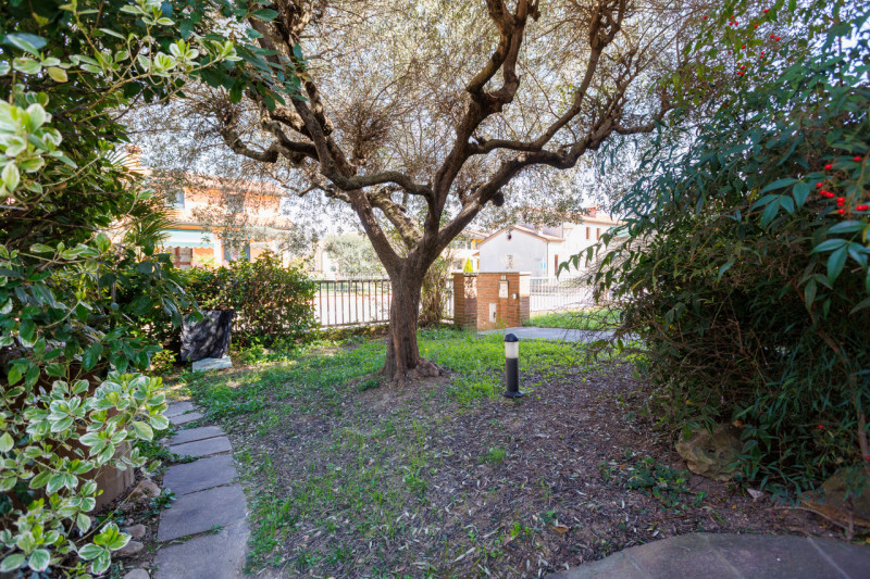 Siamo in centro paese, in una zona tranquilla dei Colli Euganei. Casa anni ’90, solida, già pront...