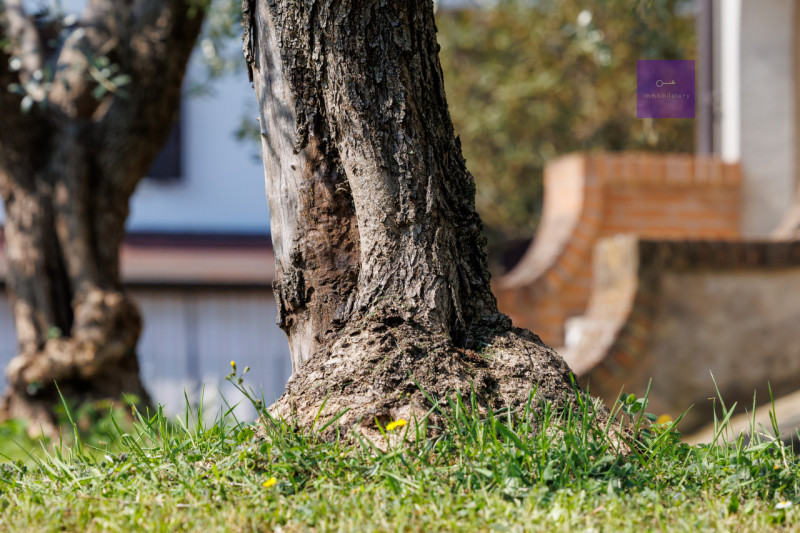 In una delle zone più apprezzate di Valsanzibio, all’interno di una via chiusa e riservata e conf...