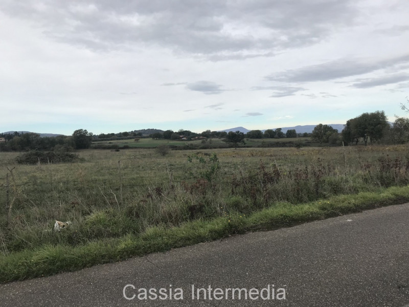 Nepi Vendita Terreno terreno agricolo/coltura