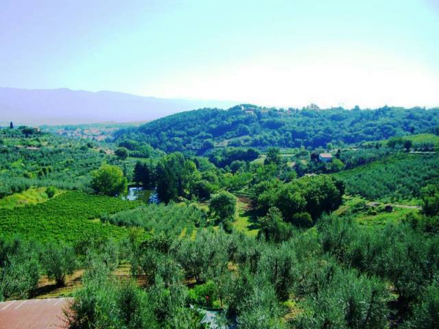 immagine annuncio 8 di 9
