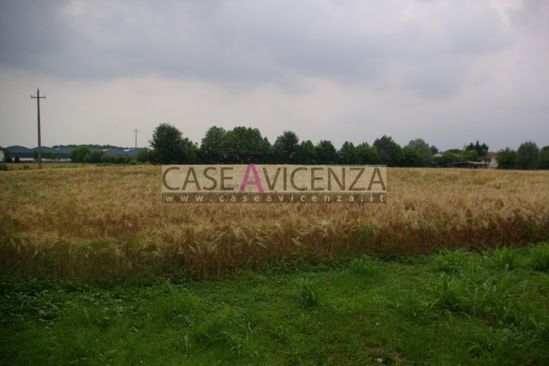 GRISIGNANO DI ZOCCO - NON SOGGETTO AD APE - RUSTICO DA RISTRUTTURARE COMPLETAMENTE DI 726 MC. SU ...