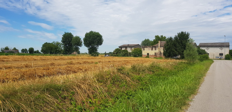 In vendita a Saletto, frazione tranquilla del Comune di Borgo Veneto, proponiamo un rustico rural...