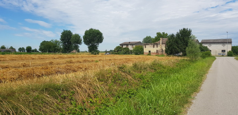 In vendita a Saletto, frazione tranquilla del Comune di Borgo Veneto, proponiamo un rustico rural...