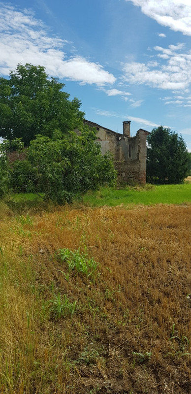 In vendita a Saletto, frazione tranquilla del Comune di Borgo Veneto, proponiamo un rustico rural...