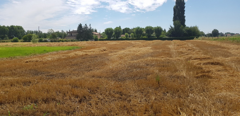 In vendita a Saletto, frazione tranquilla del Comune di Borgo Veneto, proponiamo un rustico rural...