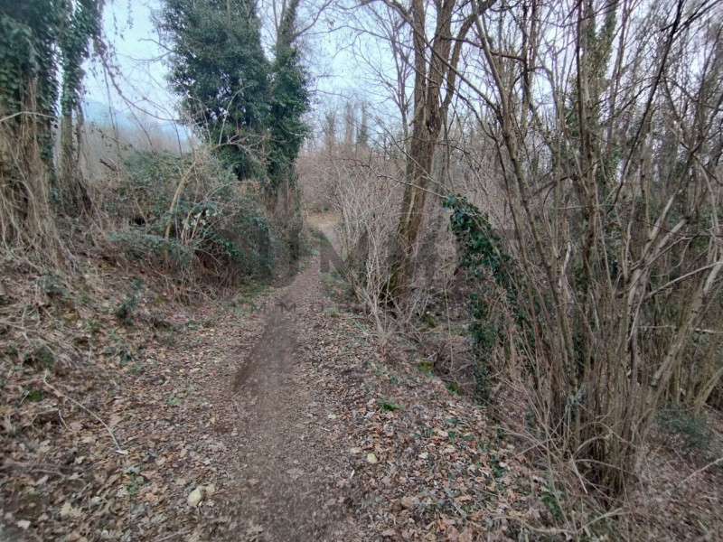 COGOLLO DEL CENGIO : Vicino al corso Astico proponiamo TERRENO di 1.292 mq adibito a prato più TE...