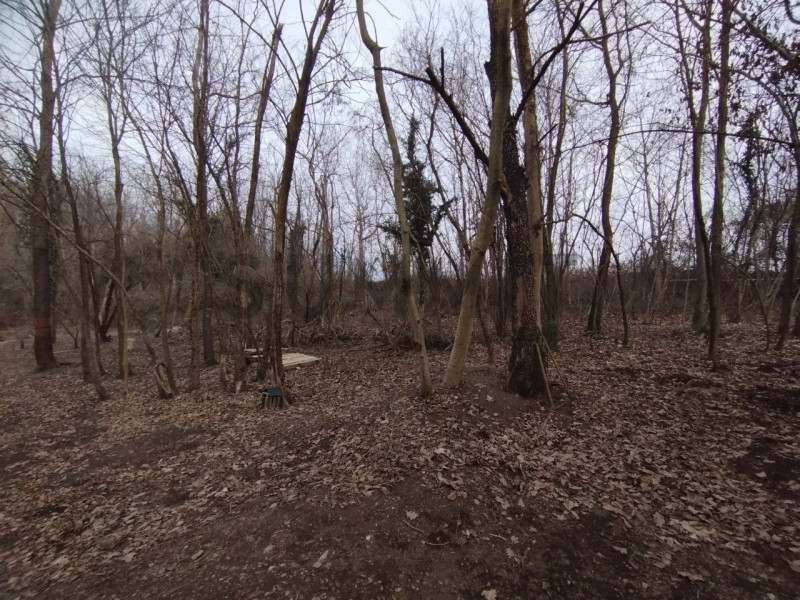 COGOLLO DEL CENGIO : Vicino al corso Astico proponiamo TERRENO di 1.292 mq adibito a prato più TE...