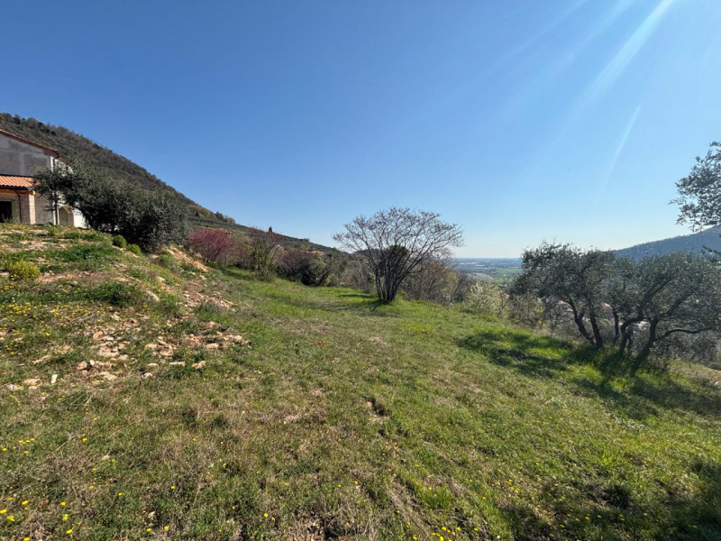 Vendita Rustico ad Arquà Petrarca

In vendita rustico di mq 160 c. a. ad Arquà Petrarca, con una ...