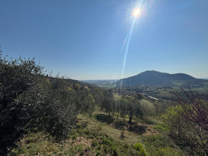 Vendita Rustico ad Arquà Petrarca

In vendita rustico di mq 160 c. a. ad Arquà Petrarca, con una ...