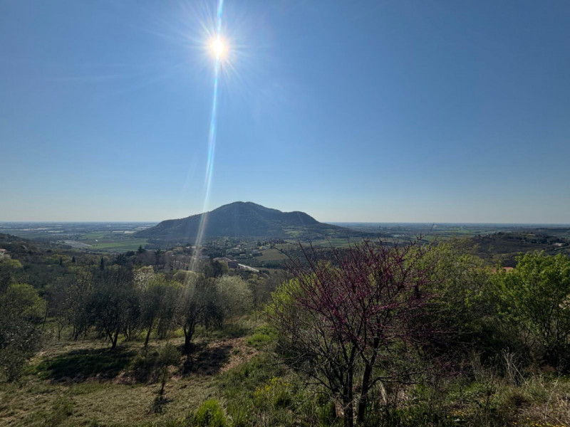 Vendita Rustico ad Arquà Petrarca

In vendita rustico di mq 160 c. a. ad Arquà Petrarca, con una ...