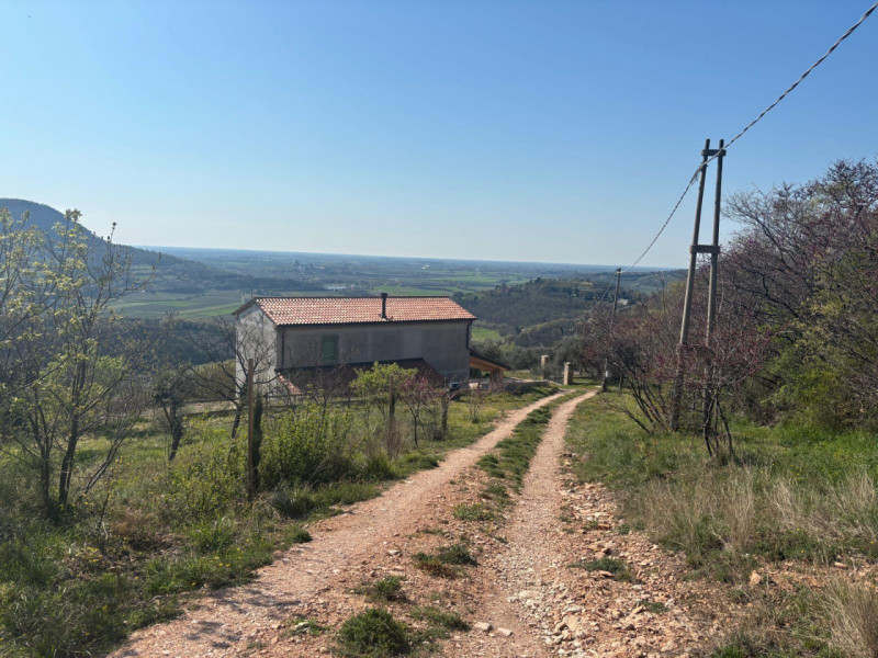 Vendita Rustico ad Arquà Petrarca

In vendita rustico di mq 160 c. a. ad Arquà Petrarca, con una ...