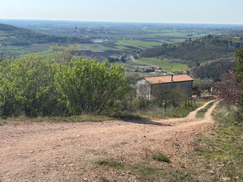 Vendita Rustico ad Arquà Petrarca

In vendita rustico di mq 160 c. a. ad Arquà Petrarca, con una ...