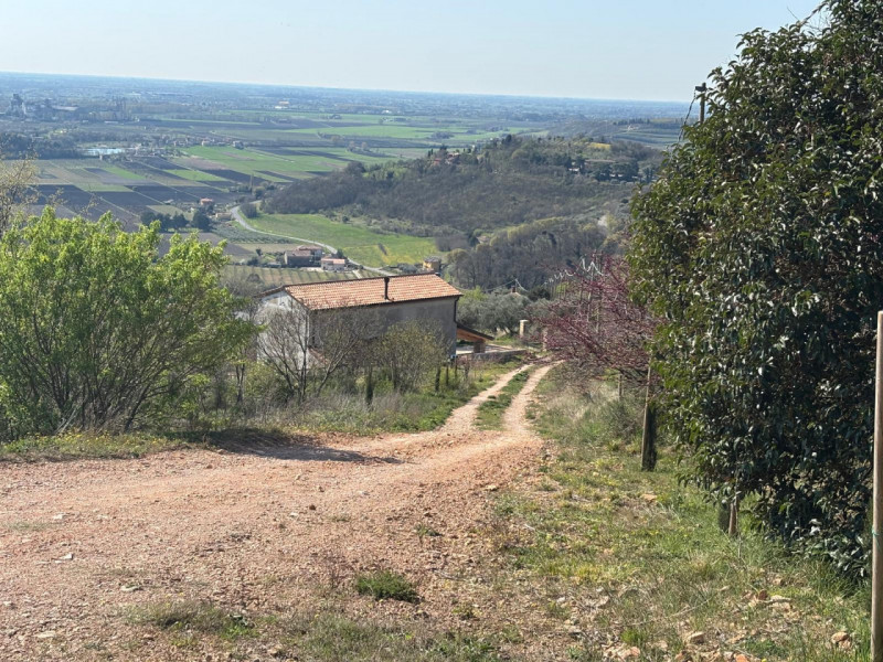 Vendita Rustico ad Arquà Petrarca

In vendita rustico di mq 160 c. a. ad Arquà Petrarca, con una ...
