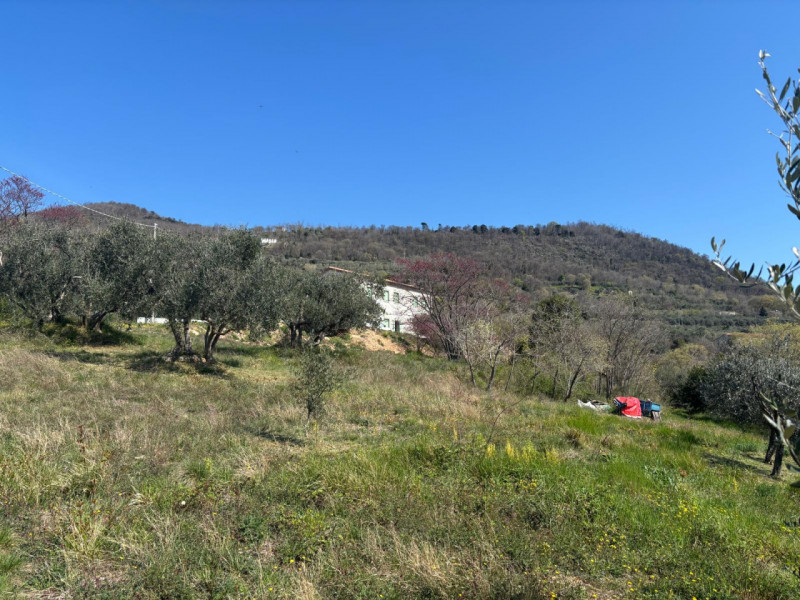 Vendita Rustico ad Arquà Petrarca

In vendita rustico di mq 160 c. a. ad Arquà Petrarca, con una ...