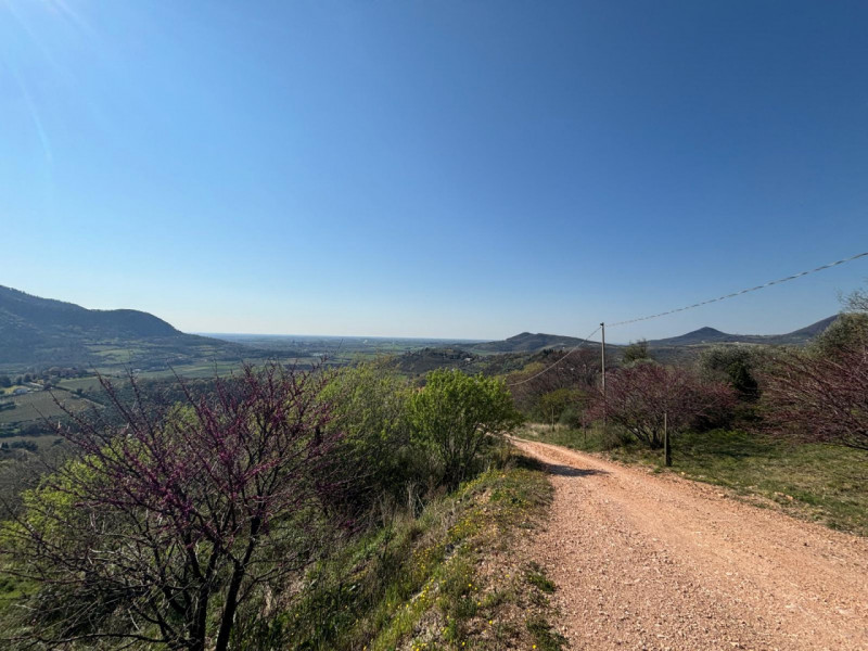 Vendita Rustico ad Arquà Petrarca

In vendita rustico di mq 160 c. a. ad Arquà Petrarca, con una ...