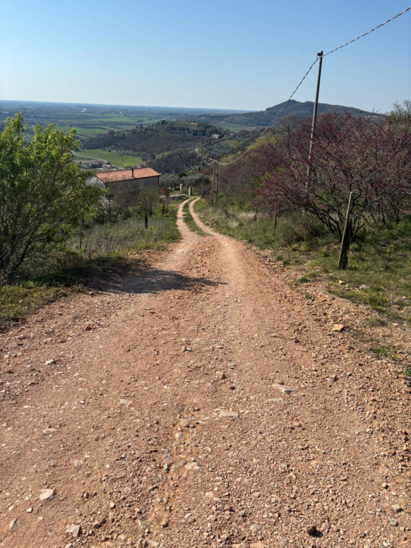 Vendita Rustico ad Arquà Petrarca

In vendita rustico di mq 160 c. a. ad Arquà Petrarca, con una ...