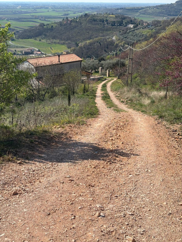 Vendita Rustico ad Arquà Petrarca

In vendita rustico di mq 160 c. a. ad Arquà Petrarca, con una ...