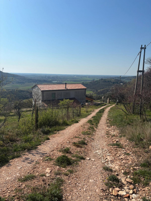 Vendita Rustico ad Arquà Petrarca

In vendita rustico di mq 160 c. a. ad Arquà Petrarca, con una ...