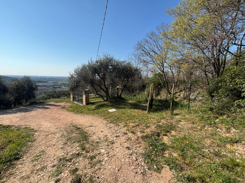 Vendita Rustico ad Arquà Petrarca

In vendita rustico di mq 160 c. a. ad Arquà Petrarca, con una ...