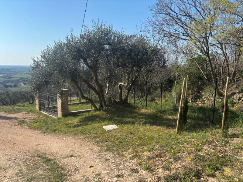 Vendita Rustico ad Arquà Petrarca

In vendita rustico di mq 160 c. a. ad Arquà Petrarca, con una ...