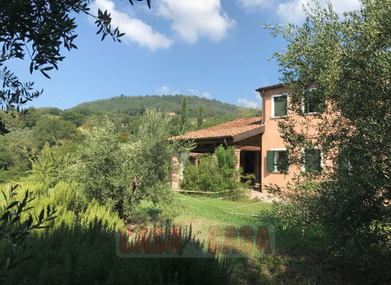 Immerso nel cuore verde dei Colli Euganei, proponiamo in vendita uno splendido rustico di circa 3...