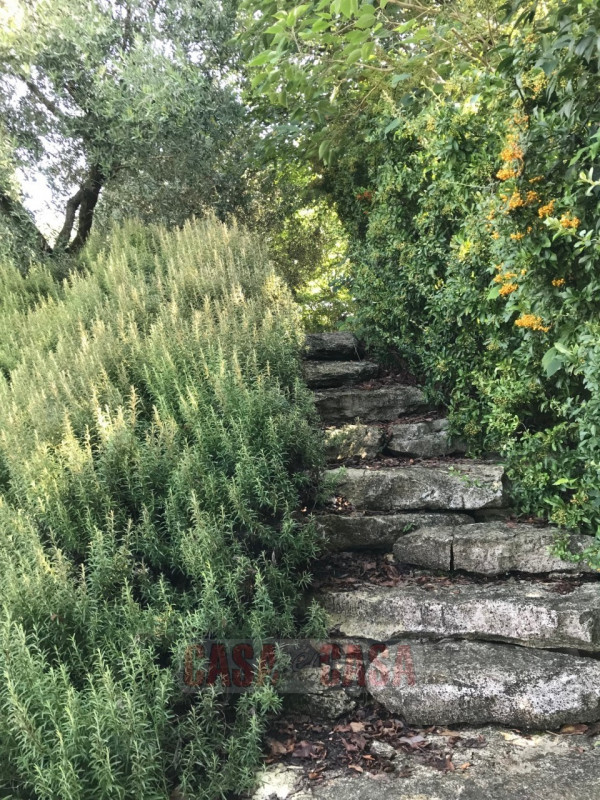 Immerso nel cuore verde dei Colli Euganei, proponiamo in vendita uno splendido rustico di circa 3...