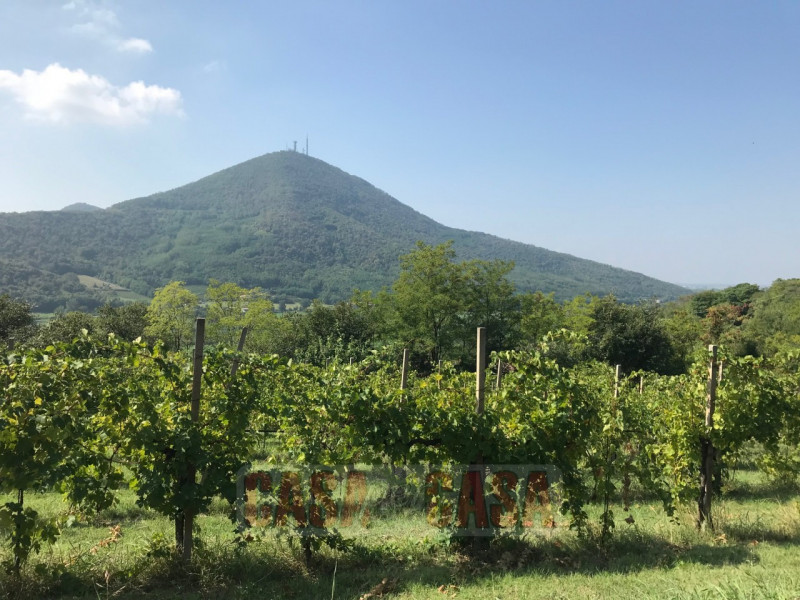 Immerso nel cuore verde dei Colli Euganei, proponiamo in vendita uno splendido rustico di circa 3...