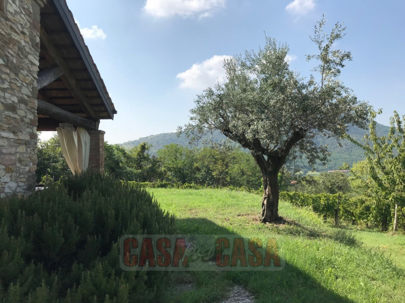 Immerso nel cuore verde dei Colli Euganei, proponiamo in vendita uno splendido rustico di circa 3...