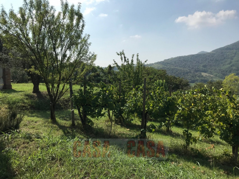 Immerso nel cuore verde dei Colli Euganei, proponiamo in vendita uno splendido rustico di circa 3...