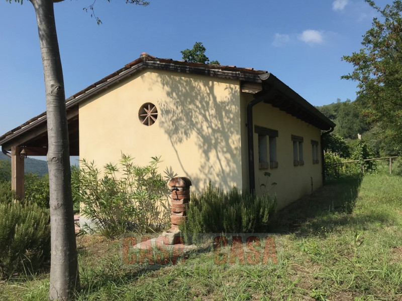 Immerso nel cuore verde dei Colli Euganei, proponiamo in vendita uno splendido rustico di circa 3...