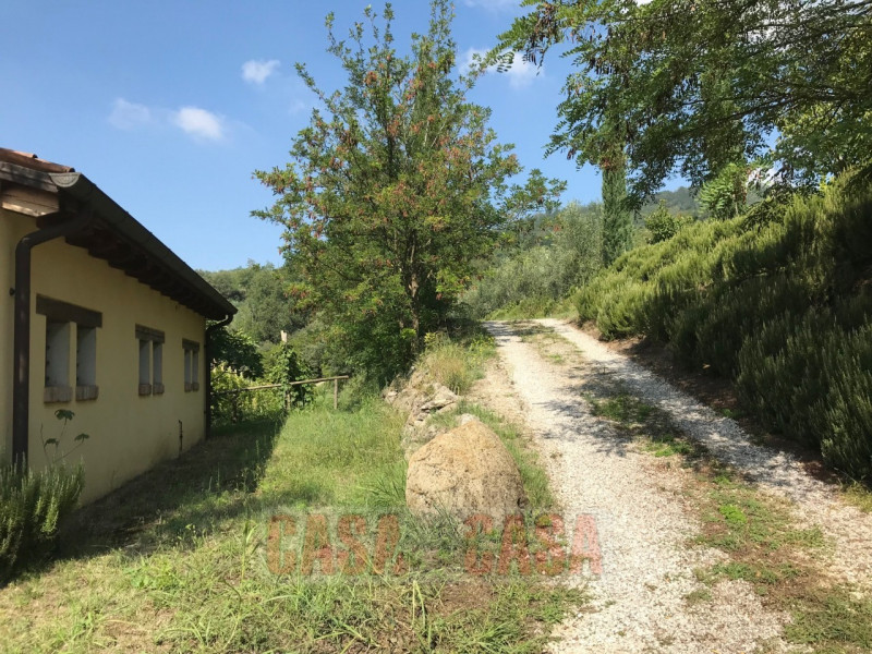 Immerso nel cuore verde dei Colli Euganei, proponiamo in vendita uno splendido rustico di circa 3...