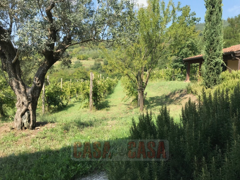 Immerso nel cuore verde dei Colli Euganei, proponiamo in vendita uno splendido rustico di circa 3...