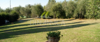 Porzione di casale con terreno, zona collinare e panoramica, toscana
