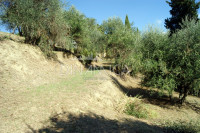 Porzione di casale con terreno, zona collinare e panoramica, toscana