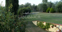 Porzione di casale con terreno, zona collinare e panoramica, toscana