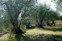 Porzione di casale con terreno, zona collinare e panoramica, toscana