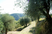 Porzione di casale con terreno, zona collinare e panoramica, toscana