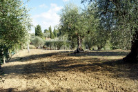 Porzione di casale con terreno, zona collinare e panoramica, toscana