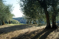 Porzione di casale con terreno, zona collinare e panoramica, toscana
