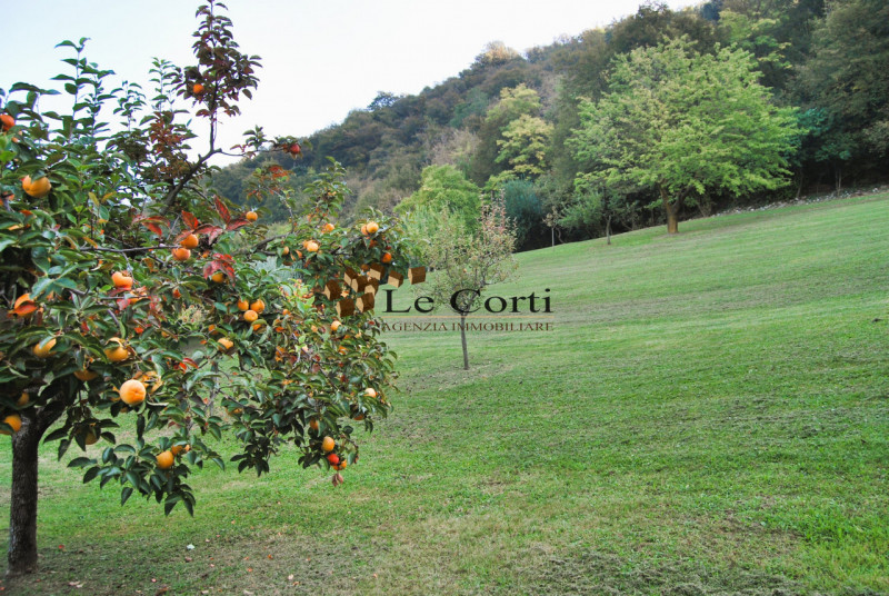 BRENDOLA - Immerso nella cornice esclusiva delle colline dei Colli Berici, proponiamo un rustico/...