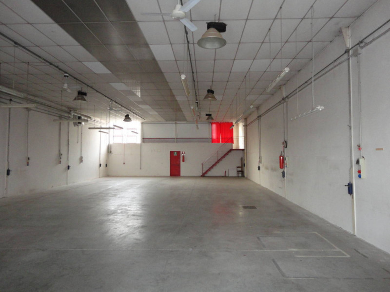 Vigonza Affitto Capannone