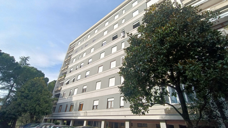 Perugia Vendita Appartamento più di 5 locali