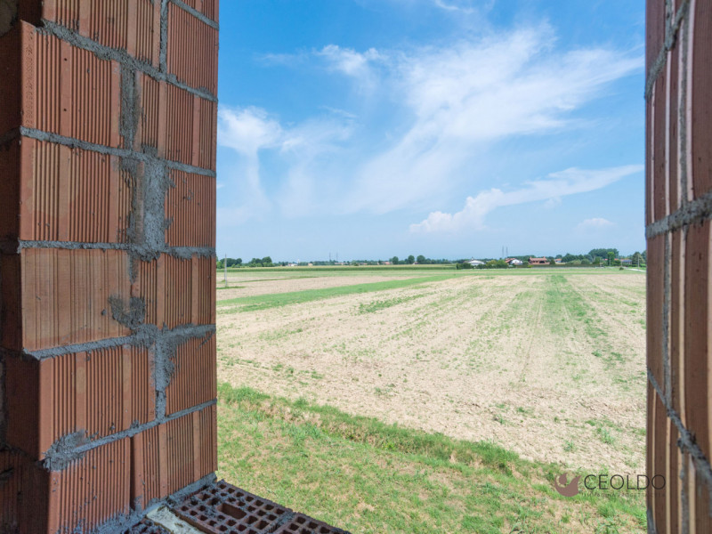 VIGONZA-Peraga-: a due passi dal parco di "Villa Bettanini" e immersa nella campagna vigontina, q...