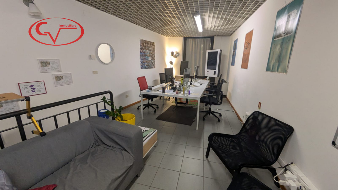 immagine annuncio 1 di 4