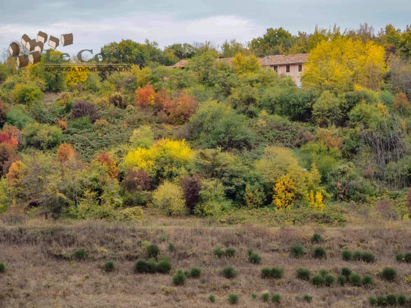 In una bellissima zona panoramica e soleggiata, posto ai piedi della collina proponiamo ampio app...